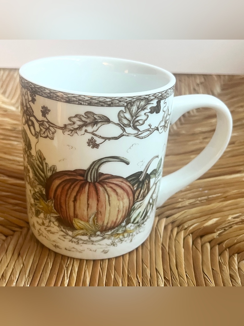 Williams Sonoma Plymouth Pumpkin Vine Ceramic Mug White Brown Fall Harvest EUC
